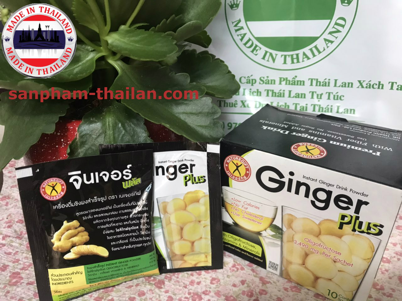 Trà Gừng GinGer Thái Lan