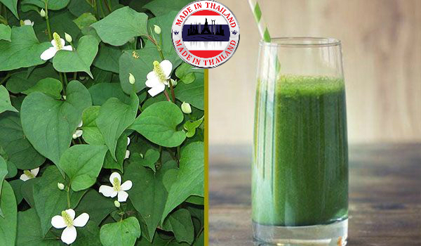 12 Cách Chữa Trị Bệnh Trĩ Tại Nhà